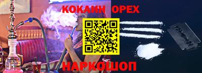 тгк Бердск