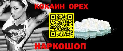 тгк Бердск