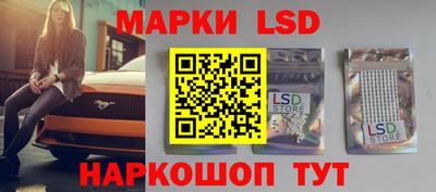 тгк Бердск