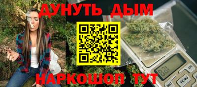 тгк Бердск