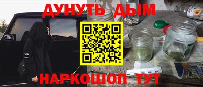тгк Бердск