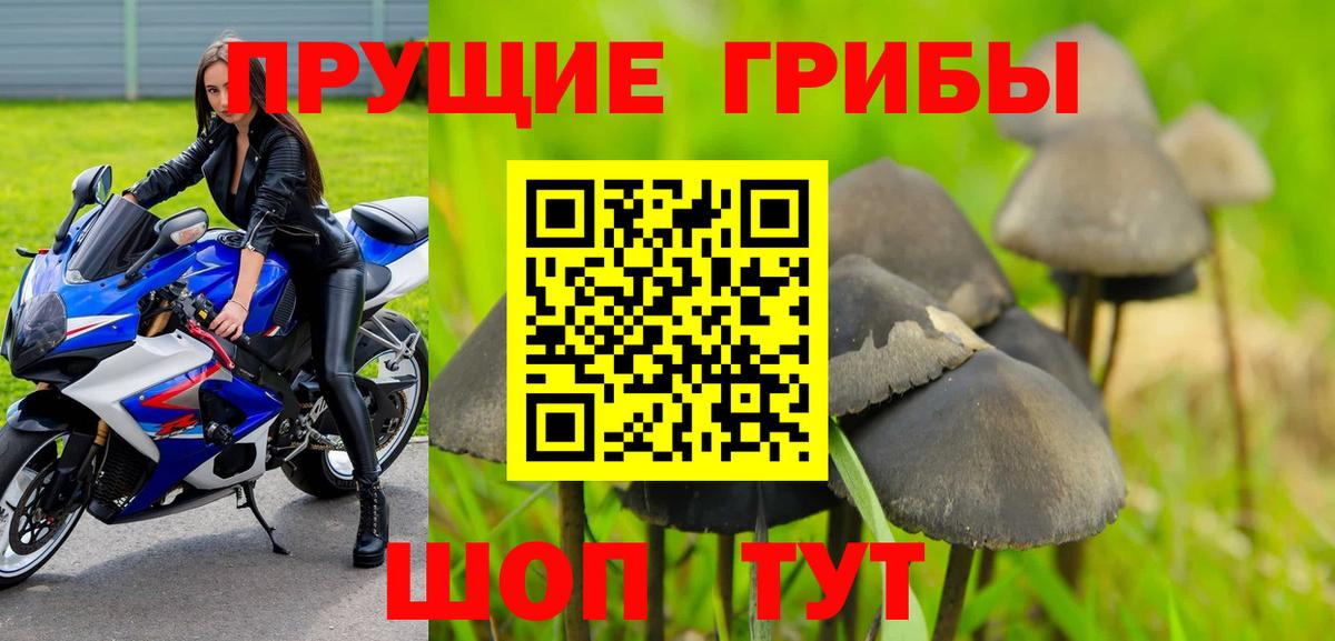 Сызрань  Псилоцибиновые грибы Cubensis  Галлюциногенные грибы GOLDEN TEACHER  Вход с VPN 